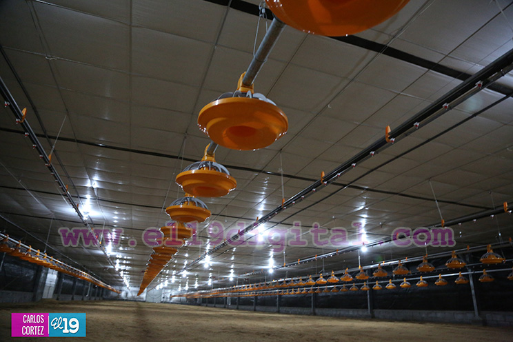 Moderna Granja Av&iacute;cola en Tipitapa